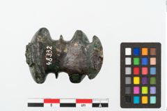 Foto von Bronzebuckelarmreif (NHMW-PRAE-048332)